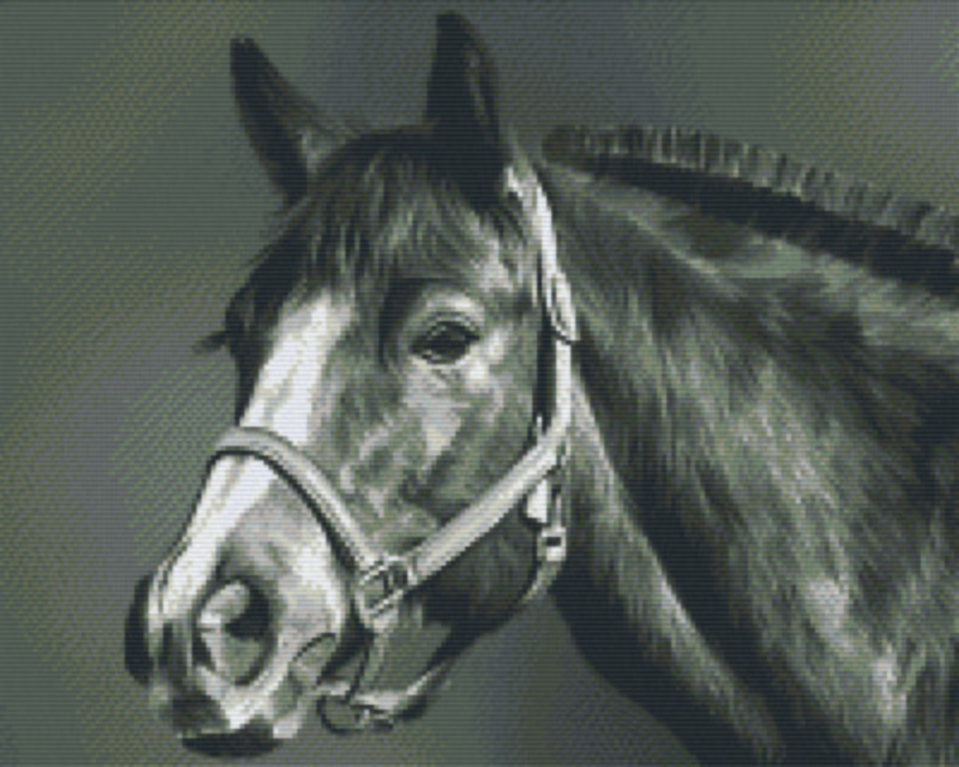 Black And White Horse 2 Sixteen [16] Baseplate PixelHobby MIni-mosaic Art Kit image 0